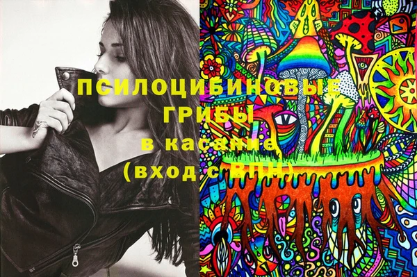 PSILOCYBIN Абаза