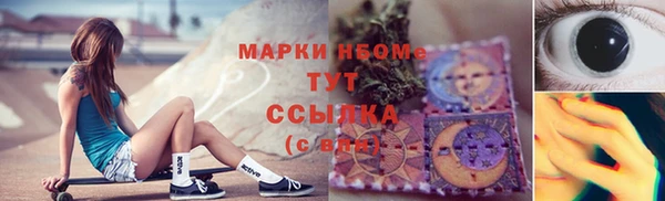 прущие грибы Куйбышев