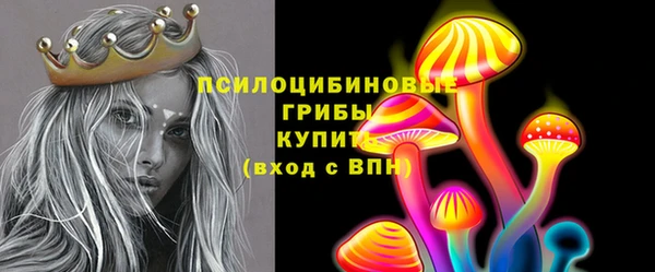 PSILOCYBIN Абаза